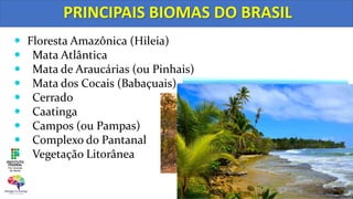 PRINCIPAIS BIOMAS DO BRASIL
 Floresta Amazônica (Hileia)
 Mata Atlântica
 Mata de Araucárias (ou Pinhais)
 Mata dos Cocais (Babaçuais)
 Cerrado
 Caatinga
 Campos (ou Pampas)
 Complexo do Pantanal
 Vegetação Litorânea
 