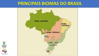 PRINCIPAIS BIOMAS DO BRASIL
 
