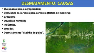 • Queimadas para a agropecuária;
• Derrubada das árvores para comércio (tráfico de madeira);
• Grilagem;
• Ocupação humana;
• Indústrias.
• Estradas.
• Desmatamento “espinha de peixe”.
DESMATAMENTO: CAUSAS
 