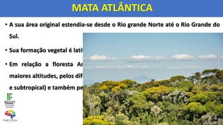 • A sua área original estendia-se desde o Rio grande Norte até o Rio Grande do
Sul.
• Sua formação vegetal é latifoliada, perene, heterogênea, densa e higrófila.
• Em relação a floresta Amazônica diferencia-se pela sua localização em
maiores altitudes, pelos diferentes tipos climáticos (tropical úmido de altitude
e subtropical) e também pelo fato de ter maior biodiversidade.
MATA ATLÂNTICA
 