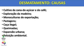 • Cultivo da cana-de-açúcar e do café;
• Exploração da madeira;
• Monoculturas de exportação;
• Pastagens;
• Caça ilegal;
• Queimadas;
• Expansão urbana;
• Poluição ambiental.
DESMATAMENTO: CAUSAS
 