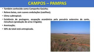• Também conhecido como Campanha Gaúcha;
• Relevo baixo, com suaves ondulações (coxilhas);
• Clima subtropical;
• Existência de pastagens, ocupação econômica pela pecuária extensiva de corte,
rizicultura (produção de arroz irrigado);
• Arenização;
• 50% do total está antropizada.
CAMPOS – PAMPAS
 
