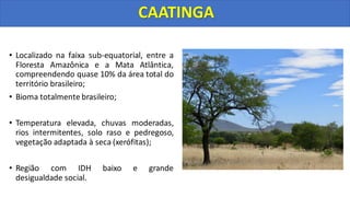 • Localizado na faixa sub-equatorial, entre a
Floresta Amazônica e a Mata Atlântica,
compreendendo quase 10% da área total do
território brasileiro;
• Bioma totalmente brasileiro;
• Temperatura elevada, chuvas moderadas,
rios intermitentes, solo raso e pedregoso,
vegetação adaptada à seca (xerófitas);
• Região com IDH baixo e grande
desigualdade social.
CAATINGA
 