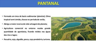 • Formado em área de bacia sedimentar (planície); Clima
tropical semi-úmido,chuvas no período de verão;
• Abriga a maior reservade vida selvagemdo planeta;
• Agricultura comercial no entorno recebe grande
quantidade de agrotóxico, ficando retidos nas águas
dos rios e lagos;
• Pecuária, soja, algodão, pesca, caça predatória, turismo.
PANTANAL
 