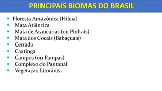 PRINCIPAIS BIOMAS DO BRASIL
 Floresta Amazônica (Hileia)
 Mata Atlântica
 Mata de Araucárias (ou Pinhais)
 Mata dos Cocais (Babaçuais)
 Cerrado
 Caatinga
 Campos (ou Pampas)
 Complexo do Pantanal
 Vegetação Litorânea
 