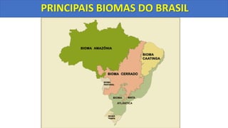 PRINCIPAIS BIOMAS DO BRASIL
 