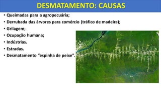 • Queimadas para a agropecuária;
• Derrubada das árvores para comércio (tráfico de madeira);
• Grilagem;
• Ocupação humana;
• Indústrias.
• Estradas.
• Desmatamento “espinha de peixe”.
DESMATAMENTO: CAUSAS
 