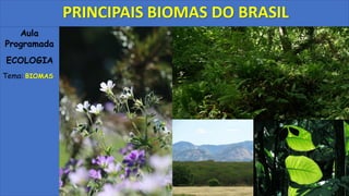 Aula
Programada
ECOLOGIA
Tema: BIOMAS
PRINCIPAIS BIOMAS DO BRASIL
 