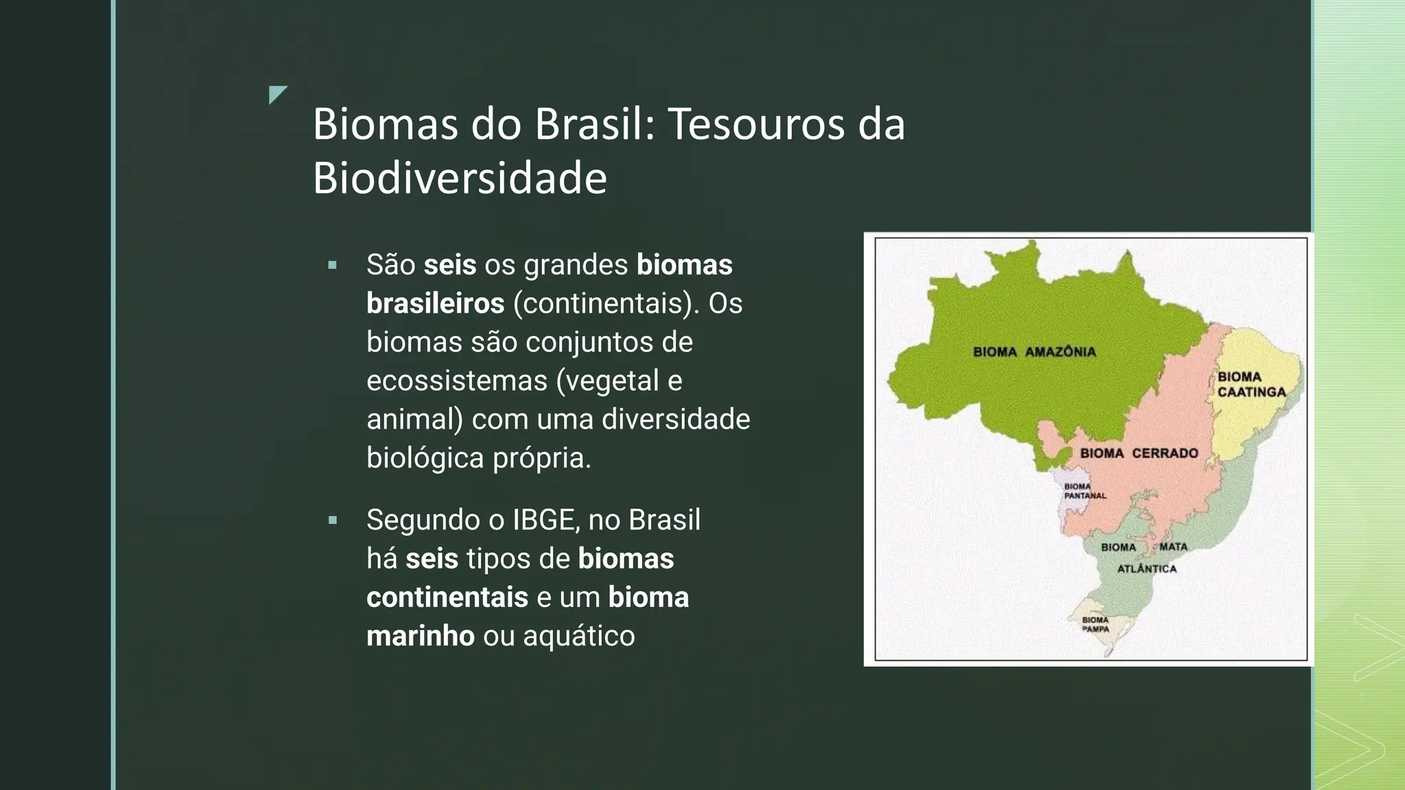 Biomas do Brasil.pdf