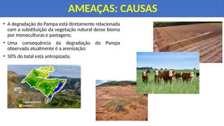 • A degradação do Pampa está diretamente relacionada
com a substituição da vegetação natural desse bioma
por monoculturas e pastagens;
• Uma consequência da degradação do Pampa
observada atualmente é a arenização;
• 50% do total está antropizada;
AMEAÇAS: CAUSAS
 