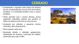 • Considerado o segundo maior bioma da América
do Sul, compreendendo cerca de 22% do território
brasileiro, e é conhecido também como a savana
brasileira.
• Muito parecido com a savana africana, possui
vegetação caducifólia: plantas que perdem as
folhas em épocas muito frias ou secas do ano.
• Composto por arbustos e pequenas árvores
retorcidas, além de gramíneas;
• Clima tropical, verão seco;
• Devastado devido à atividade agropecuária,
implantação de rodovias, construção de cidades,
queimadas para soja e milho.
CERRADO
 