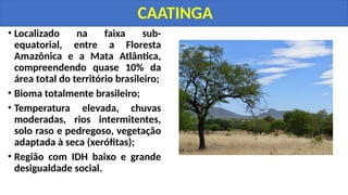 • Localizado na faixa sub-
equatorial, entre a Floresta
Amazônica e a Mata Atlântica,
compreendendo quase 10% da
área total do território brasileiro;
• Bioma totalmente brasileiro;
• Temperatura elevada, chuvas
moderadas, rios intermitentes,
solo raso e pedregoso, vegetação
adaptada à seca (xerófitas);
• Região com IDH baixo e grande
desigualdade social.
CAATINGA
 