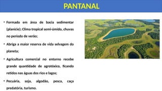 • Formado em área de bacia sedimentar
(planície); Clima tropical semi-úmido, chuvas
no período de verão;
• Abriga a maior reserva de vida selvagem do
planeta;
• Agricultura comercial no entorno recebe
grande quantidade de agrotóxico, ficando
retidos nas águas dos rios e lagos;
• Pecuária, soja, algodão, pesca, caça
predatória, turismo.
PANTANAL
 