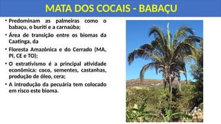 • Predominam as palmeiras como o
babaçu, o buriti e a carnaúba;
• Área de transição entre os biomas da
Caatinga, da
• Floresta Amazônica e do Cerrado (MA,
PI, CE e TO);
• O extrativismo é a principal atividade
econômica: coco, sementes, castanhas,
produção de óleo, cera;
• A introdução da pecuária tem colocado
em risco este bioma.
MATA DOS COCAIS - BABAÇU
 