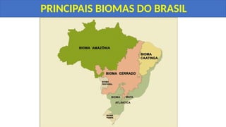 PRINCIPAIS BIOMAS DO BRASIL
 