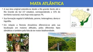 • A sua área original estendia-se desde o Rio grande Norte até o
Rio Grande do Sul (17 estados), correspondendo a 15% do
território nacional, mais hoje resta apenas 7%.
• Sua formação vegetal é latifoliada, perene, heterogênea, densa e
higrófila.
• Em relação a floresta Amazônica diferencia-se pela sua
localização em maiores altitudes, pelos diferentes tipos
climáticos e também pelo fato de ter maior biodiversidade.
MATA ATLÂNTICA
 