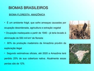 BIOMAS BRASILEIROS  É um ambiente frágil, que sofre ameaças causadas por ocupação desordenada, agricultura e extração vegetal Ocupação inadequada a partir de 1940 - já teria levado à eliminação de 550 mil km 2  de floresta  80% da produção madeireira da Amazônia provêm da exploração ilegal Segundo estimativas oficiais, até 2020 a Amazônia terá perdido 25% de sua cobertura nativa. Atualmente essas perdas são de 12% BIOMA FLORESTA  AMAZÔNICA 