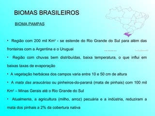 BIOMAS BRASILEIROS  Região com 200 mil Km 2  -  se estende do Rio Grande do Sul para além das fronteiras com a Argentina e o Uruguai  Região com chuvas bem distribuídas, baixa temperatura, o que influi em baixas taxas de evaporação A vegetação herbácea dos campos varia entre 10 e 50 cm de altura A  mata das araucárias  ou pinheiros-do-paraná (mata de pinhais) com 100 mil Km 2  – Minas Gerais até o Rio Grande do Sul Atualmente, a agricultura (milho, arroz) pecuária e a indústria, reduziram a mata dos pinhais a 2% da cobertura nativa BIOMA PAMPAS 