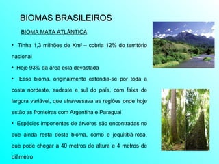 BIOMAS BRASILEIROS  Tinha 1,3 milhões de Km 2  – cobria 12% do território nacional Hoje 93% da área esta devastada Esse bioma, o riginalmente estendia-se por toda a costa nordeste, sudeste e sul do país, com faixa de largura variável, que atravessava as regiões onde hoje estão as fronteiras com Argentina e Paraguai Espécies imponentes de árvores são encontradas no que ainda resta deste bioma, como o jequitibá-rosa, que pode chegar a 40 metros de altura e 4 metros de diâmetro  BIOMA MATA ATLÂNTICA 