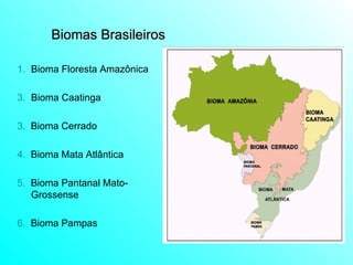 Biomas Brasileiros Bioma Floresta Amazônica Bioma Caatinga 3.   Bioma Cerrado 4.  Bioma Mata Atlântica 5.   Bioma Pantanal Mato-Grossense 6.   Bioma Pampas 