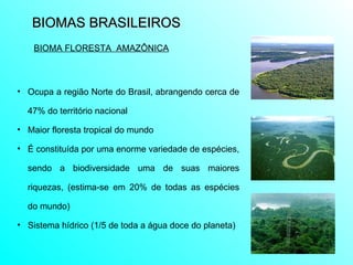 BIOMAS BRASILEIROS  Ocupa a região Norte do Brasil, abrangendo cerca de 47% do território nacional Maior floresta tropical do mundo É constituída por uma enorme variedade de espécies, sendo a biodiversidade uma de suas maiores riquezas, (estima-se em 20% de todas as espécies do mundo) Sistema hídrico (1/5 de toda a água doce do planeta) BIOMA FLORESTA  AMAZÔNICA 