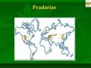 Pradarias  