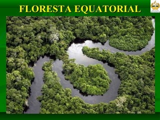 FLORESTA EQUATORIAL 