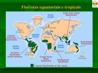 Florestas equatoriais e tropicais 