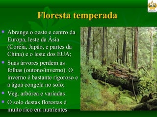 Floresta temperada  Abrange o oeste e centro da Europa, leste da Ásia (Coréia, Japão, e partes da China) e o leste dos EUA; Suas árvores perdem as folhas (outono/inverno). O inverno é bastante rigoroso e a água congela no solo; Veg. arbórea e variadas O solo destas florestas é muito rico em nutrientes 