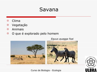 Savana
   Clima
   Vegetação
   Animais
   O que é explorado pelo homem
                                 Equus quagga foai




               Curso de Biologia - Ecologia
 