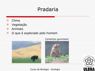 Pradaria
   Clima
   Vegetação
   Animais
   O que é explorado pelo homem

                             Cynomys gunnisoni




               Curso de Biologia - Ecologia
 