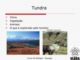 Tundra
   Clima
   Vegetação
   Animais
   O que é explorado pelo homem
                                     Rangifer tarandus




                Curso de Biologia - Ecologia
 