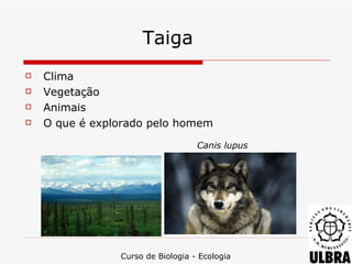 Taiga
   Clima
   Vegetação
   Animais
   O que é explorado pelo homem

                                   Canis lupus




                Curso de Biologia - Ecologia
 