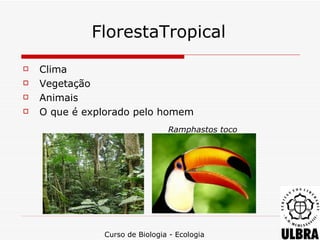 FlorestaTropical
   Clima
   Vegetação
   Animais
   O que é explorado pelo homem
                                Ramphastos toco




               Curso de Biologia - Ecologia
 