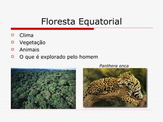 Floresta Equatorial
   Clima
   Vegetação
   Animais
   O que é explorado pelo homem
                                   Panthera onca
 