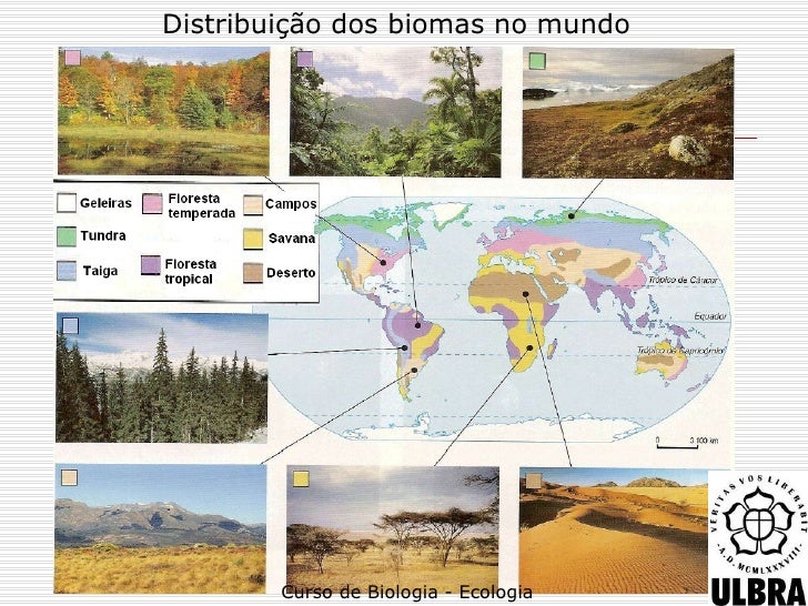 Escolha Tres Biomas Mundiais E Indique Alguns Impactos Ambientais