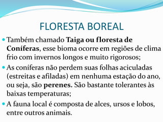 FLORESTA BOREAL
 Também chamado Taiga ou floresta de
Coníferas, esse bioma ocorre em regiões de clima
frio com invernos longos e muito rigorosos;
 As coníferas não perdem suas folhas aciculadas
(estreitas e afiladas) em nenhuma estação do ano,
ou seja, são perenes. São bastante tolerantes às
baixas temperaturas;
 A fauna local é composta de alces, ursos e lobos,
entre outros animais.
 