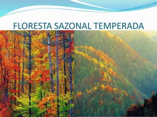 FLORESTA SAZONAL TEMPERADA
 