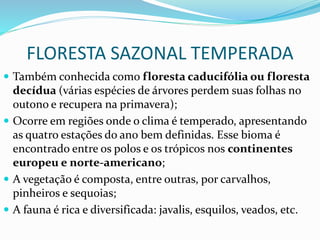FLORESTA SAZONAL TEMPERADA
 Também conhecida como floresta caducifólia ou floresta
decídua (várias espécies de árvores perdem suas folhas no
outono e recupera na primavera);
 Ocorre em regiões onde o clima é temperado, apresentando
as quatro estações do ano bem definidas. Esse bioma é
encontrado entre os polos e os trópicos nos continentes
europeu e norte-americano;
 A vegetação é composta, entre outras, por carvalhos,
pinheiros e sequoias;
 A fauna é rica e diversificada: javalis, esquilos, veados, etc.
 