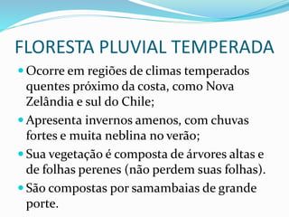 FLORESTA PLUVIAL TEMPERADA
 Ocorre em regiões de climas temperados
quentes próximo da costa, como Nova
Zelândia e sul do Chile;
 Apresenta invernos amenos, com chuvas
fortes e muita neblina no verão;
 Sua vegetação é composta de árvores altas e
de folhas perenes (não perdem suas folhas).
 São compostas por samambaias de grande
porte.
 