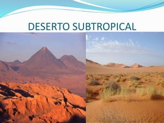 DESERTO SUBTROPICAL
 