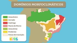 BIOMAS DO MUNDO E DO BRASIL - FN - 2025.pptx