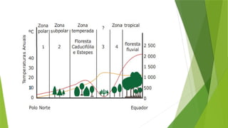 BIOMAS DO MUNDO E DO BRASIL - FN - 2025.pptx