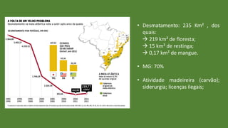 • Desmatamento: 235 Km² , dos
quais:
 219 km² de floresta;
 15 km² de restinga;
 0,17 km² de mangue.
• MG: 70%
• Atividade madeireira (carvão);
siderurgia; licenças ilegais;
 