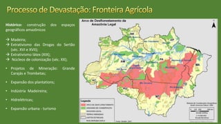 Histórico: construção dos espaços
geográficos amazônicos
 Madeira;
 Extrativismo das Drogas do Sertão
(séc. XVI e XVII);
 Extrativismo látex (XIX);
 Núcleos de colonização (séc. XX);
• Projetos de Mineração: Grande
Carajás e Trombetas;
• Expansão dos plantations;
• Indústria Madeireira;
• Hidrelétricas;
• Expansão urbana - turismo
 