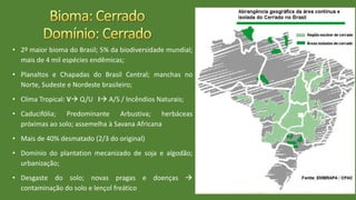 • 2º maior bioma do Brasil; 5% da biodiversidade mundial;
mais de 4 mil espécies endêmicas;
• Planaltos e Chapadas do Brasil Central; manchas no
Norte, Sudeste e Nordeste brasileiro;
• Clima Tropical: V Q/U I A/S / Incêndios Naturais;
• Caducifólia; Predominante Arbustiva; herbáceas
próximas ao solo; assemelha à Savana Africana
• Mais de 40% desmatado (2/3 do original)
• Domínio do plantation mecanizado de soja e algodão;
urbanização;
• Desgaste do solo; novas pragas e doenças 
contaminação do solo e lençol freático
 