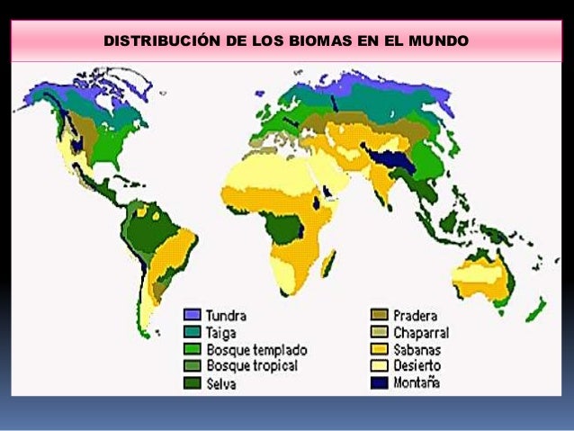 Biomas en el mundo