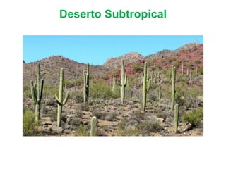 Deserto Subtropical
 