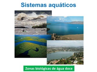 Sistemas aquáticos
Zonas biológicas de água doce
 