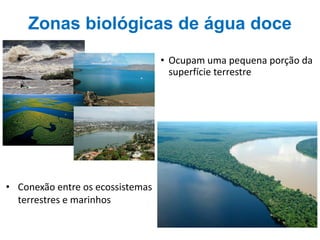 • Ocupam uma pequena porção da
superfície terrestre
• Conexão entre os ecossistemas
terrestres e marinhos
Zonas biológicas de água doce
 